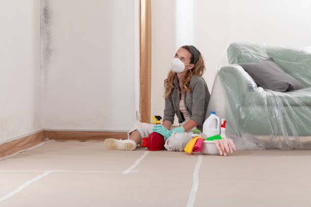 Reliable Black Mold Remediation contractor in Highland Park, MI by Car Mold Remediation